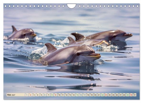 Produktbild: Die intelligentesten Tiere - Weltweit (Wandkalender 2027 DIN A4 quer), CALVENDO Monatskalender