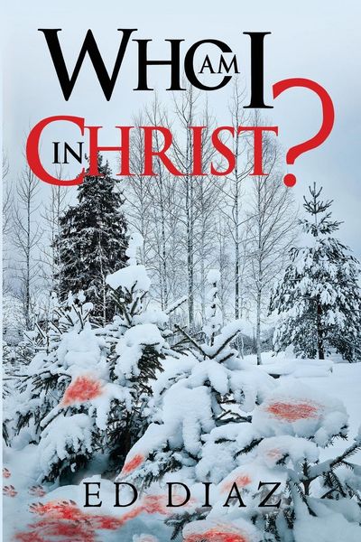 Produktbild: Who am I in Christ?