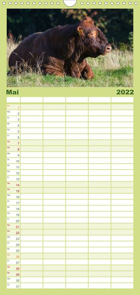 Produktbild: Ein Herz f&uuml;r Rinder - Familienplaner hoch (Wandkalender 2022 , 21 cm x 45 cm, hoch)