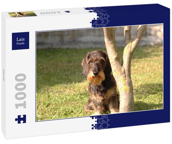 Produktbild: Lais Puzzle Dackel 1000 Teile