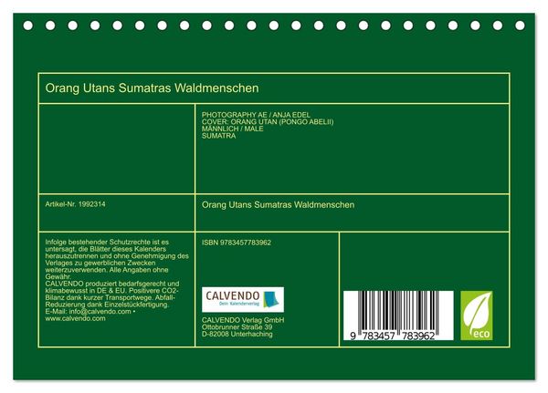 Produktbild: Orang Utans Sumatras Waldmenschen (Tischkalender 2026 DIN A5 quer), CALVENDO Monatskalender
