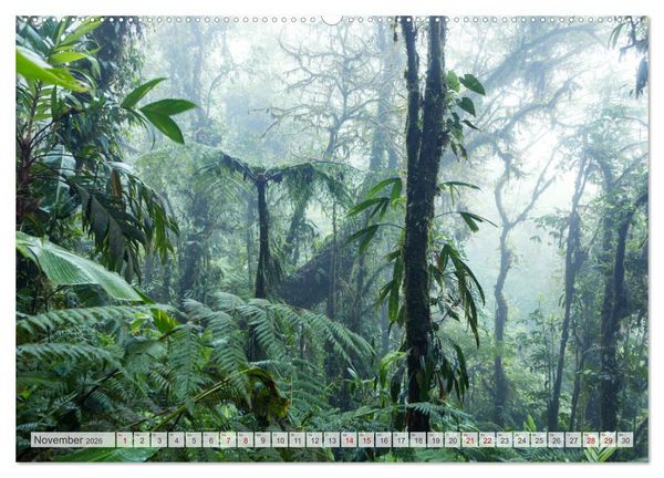 Produktbild: W&auml;lder der Welt (hochwertiger Premium Wandkalender 2026 DIN A2 quer), Kunstdruck in Hochglanz