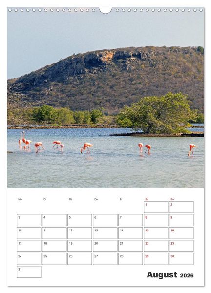 Produktbild: Curacao - Terminplaner (Wandkalender 2026 DIN A3 hoch), CALVENDO Monatskalender