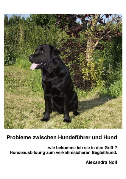 Produktbild: Probleme zwischen Hundef&uuml;hrer und Hund - wie bekomme ich sie in den Griff ?