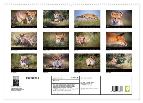 Produktbild: Rotf&uuml;chse (hochwertiger Premium Wandkalender 2026 DIN A2 quer), Kunstdruck in Hochglanz