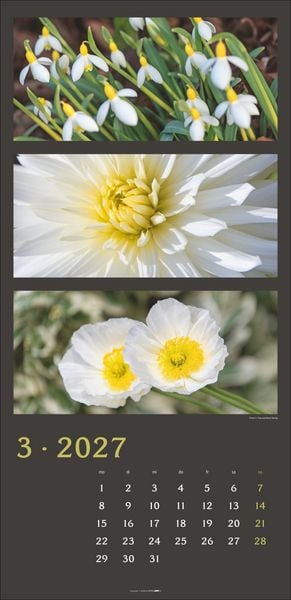 Produktbild: Die Farben der Natur Kalender 2027
