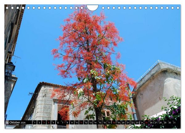 Produktbild: Kalabrien - Italien (Wandkalender 2026 DIN A4 quer), CALVENDO Monatskalender