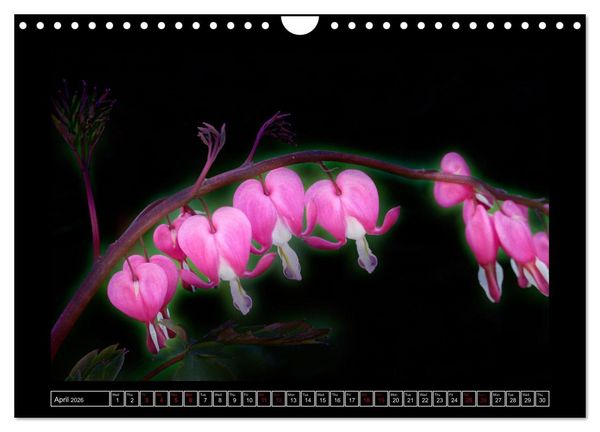 Produktbild: Mysterious plant portraits (Wall Calendar 2026 DIN A4 landscape), CALVENDO 12 Month Wall Calendar