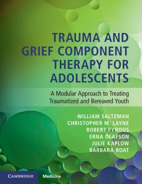 Produktbild: Trauma and Grief Component Therapy for Adolescents