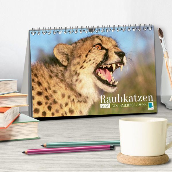 Produktbild: Raubkatzen: Geschmeidige J&auml;ger (Tischkalender 2026 DIN A5 quer), CALVENDO Monatskalender