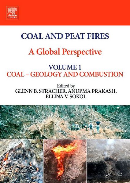 Produktbild: Coal and Peat Fires: A Global Perspective