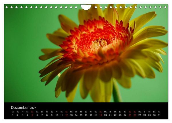 Produktbild: Blumige Farben (Wandkalender 2027 DIN A4 quer), CALVENDO Monatskalender