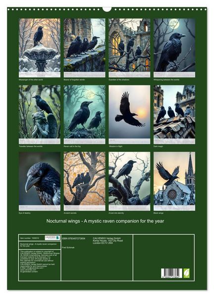 Produktbild: Nocturnal wings - A mystic raven companion for the year (Wall Calendar 2026 DIN A2 portrait), CALVENDO 12 Month Wall Calendar
