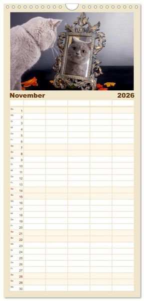 Produktbild: Familienplaner 2026 - Britisch Kurzhaar Katzen mit 5 Spalten (Wandkalender, 21 x 45 cm) CALVENDO