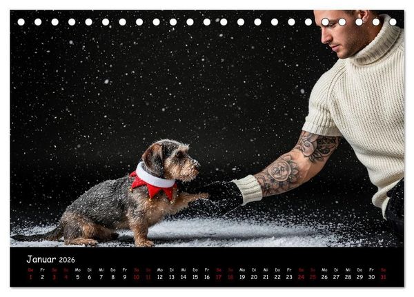 Produktbild: Coole Typen - Rauhaardackel (Tischkalender 2026 DIN A5 quer), CALVENDO Monatskalender