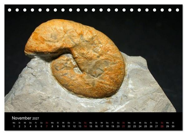 Produktbild: Fossilien - Zeugen der Urzeit (Tischkalender 2027 DIN A5 quer), CALVENDO Monatskalender