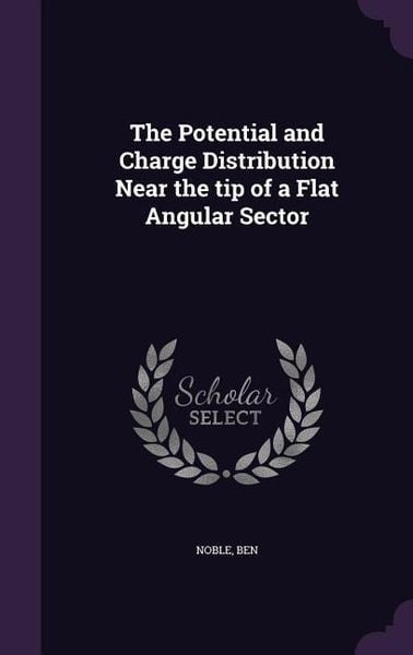 Produktbild: The Potential and Charge Distribution Near the tip of a Flat Angular Sector