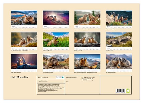 Produktbild: Hallo Murmeltier (Wandkalender 2026 DIN A2 quer), CALVENDO Monatskalender
