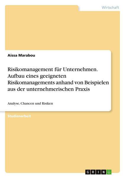Risikomanagement für Unternehmen. Aufbau eines geeigneten Risikomanagements anhand von Beispielen aus der unternehmerischen Praxis, Taschenbuch von