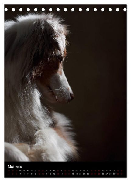 Produktbild: Stille Momente - Die sensible Seite der Hunde (Tischkalender 2026 DIN A5 hoch), CALVENDO Monatskalender