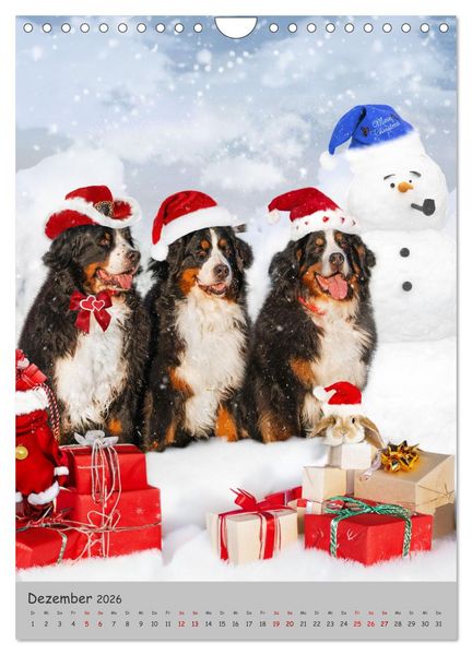 Produktbild: Berner Sennenhund - Ein Hund f&uuml;r alle F&auml;lle (Wandkalender 2026 DIN A4 hoch), CALVENDO Monatskalender