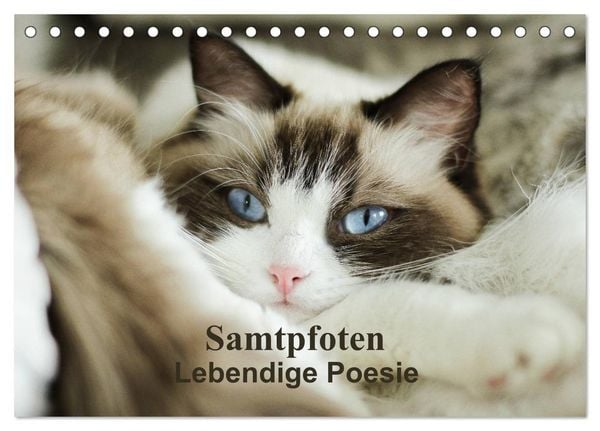 Produktbild: Samtpfoten Lebendige Poesie (Tischkalender 2026 DIN A5 quer), CALVENDO Monatskalender