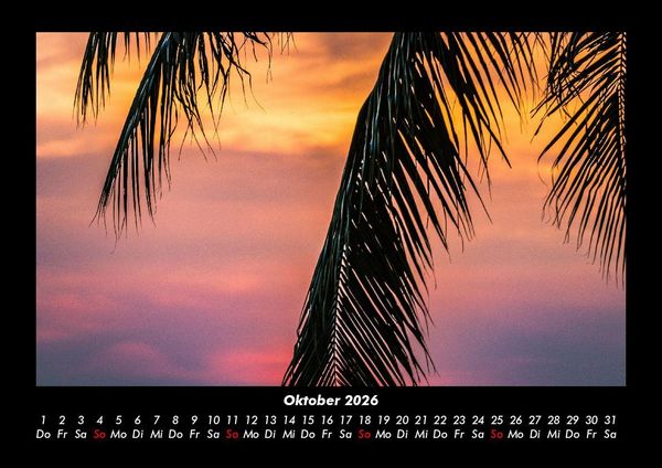 Produktbild: Palmentraum 2026 Fotokalender DIN A3