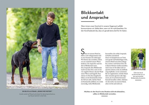 Produktbild: Ohne Leine unterwegs