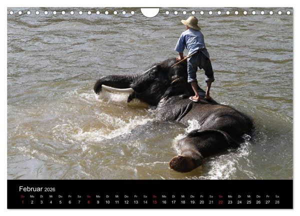 Produktbild: Thailand (Wandkalender 2026 DIN A4 quer), CALVENDO Monatskalender