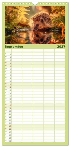 Produktbild: Familienplaner 2027 - Waldgefl&uuml;ster mit 5 Spalten (Wandkalender, 21 x 45 cm) CALVENDO
