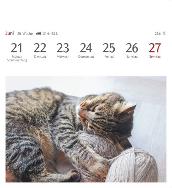 Produktbild: Katzen Postkartenkalender 2027 - Wochenkalender mit 53 Postkarten