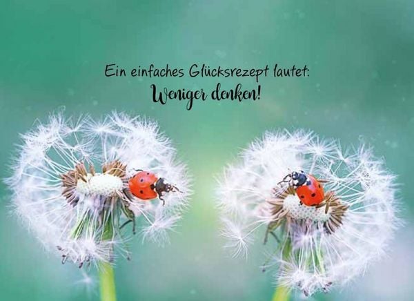 Produktbild: Herzensw&uuml;nsche f&uuml;r dich