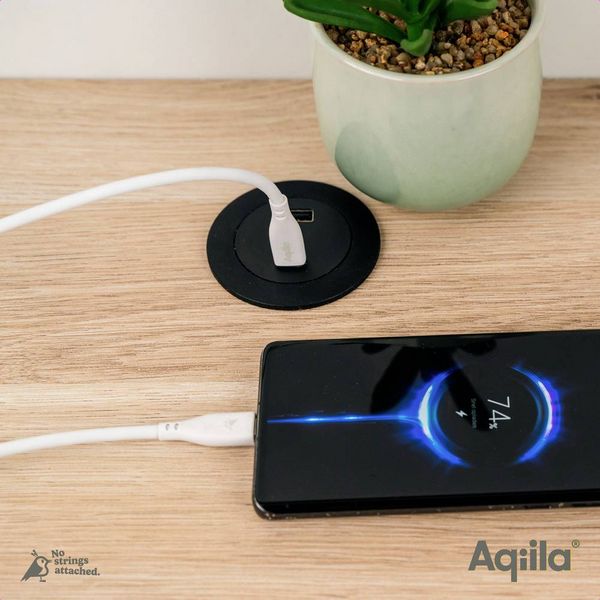 Produktbild: Aqiila Cablebird CS12 USB-C&reg; Kabel USB 2.0 USB-C&reg; Stecker 2.00m Wei&szlig; AQCBPBIC2SI829