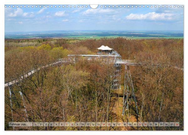 Produktbild: Der Hainich in Th&uuml;ringen - Weltnaturerbe (Wandkalender 2026 DIN A3 quer), CALVENDO Monatskalender