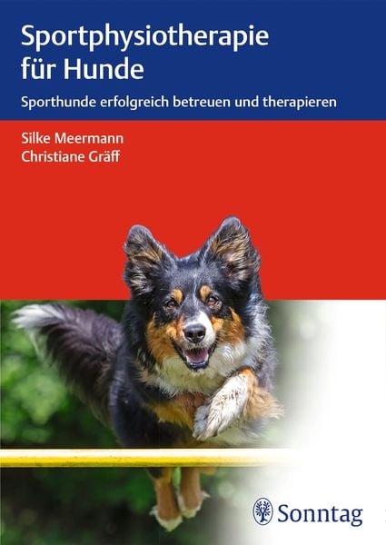 Sportphysiotherapie für Hunde