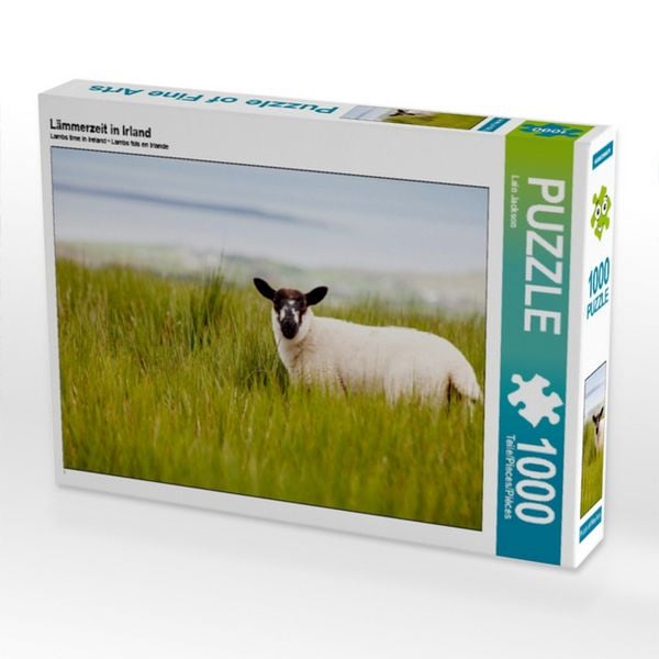 Produktbild: CALVENDO Puzzle L&auml;mmerzeit in Irland 1000 Teile Puzzle quer | 1000 Teile Lege-Gr&ouml;&szlig;e 64 &times; 48 cm Foto-Puzzle f&uuml;r gl&uuml;ckliche Stunden