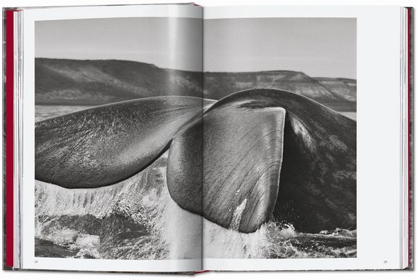 Produktbild: Sebasti&atilde;o Salgado