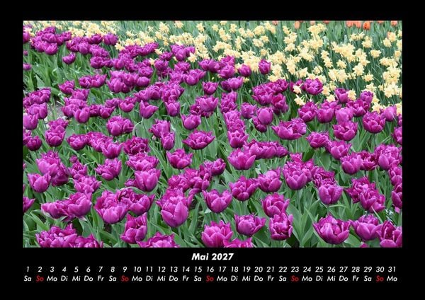Produktbild: Blumenzauber 2027 Fotokalender DIN A3
