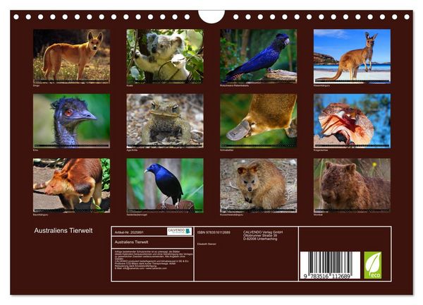 Produktbild: Australiens Tierwelt (Wandkalender 2026 DIN A4 quer), CALVENDO Monatskalender