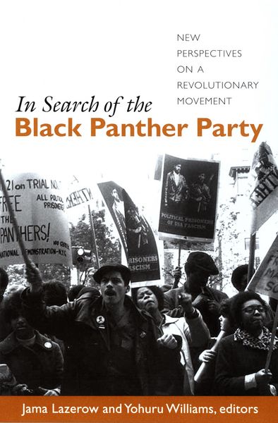 Produktbild: In Search of the Black Panther Party