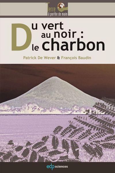 Produktbild: Du vert au noir : le charbon