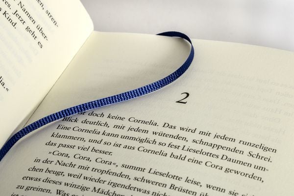 Produktbild: Die Riesinnen