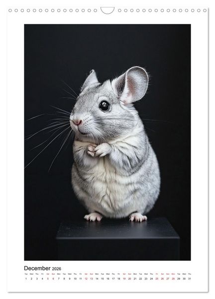 Produktbild: Chinchilla Parade (Wall Calendar 2026 DIN A3 portrait), CALVENDO 12 Month Wall Calendar