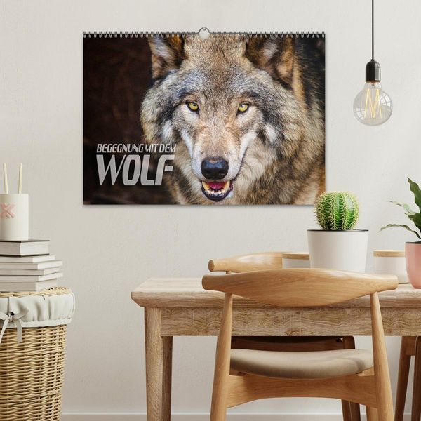 Produktbild: Begegnung mit dem Wolf (Wandkalender 2026 DIN A3 quer), CALVENDO Monatskalender