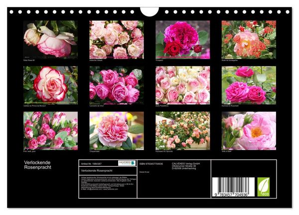 Produktbild: Verlockende Rosenpracht (Wandkalender 2026 DIN A4 quer), CALVENDO Monatskalender