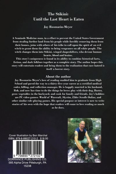 Produktbild: The Stikini