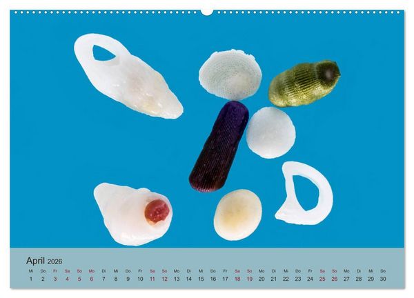 Produktbild: rosaroter korallensand (Wandkalender 2026 DIN A2 quer), CALVENDO Monatskalender