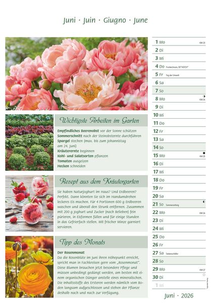 Produktbild: Das Gartenjahr 2026 - Bildkalender 23,7x34 cm - mit saisonalen Gartentipps und Rezepten - Ratgeber - Wandkalender - Küchenkalender - Alpha Edition