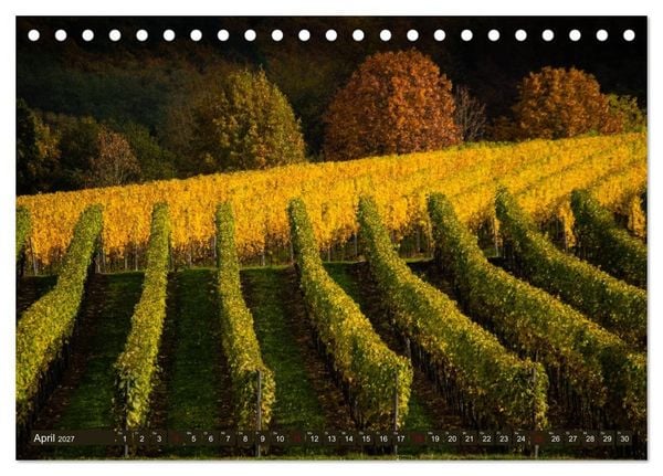 Produktbild: Wein - Landschaften (Tischkalender 2027 DIN A5 quer), CALVENDO Monatskalender