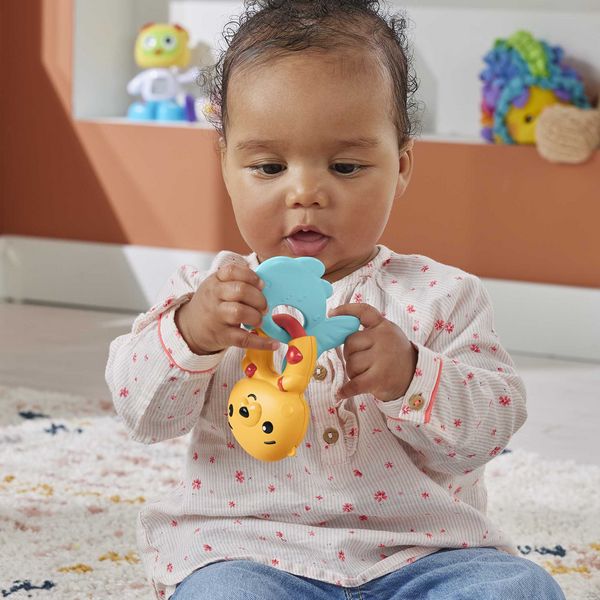 Produktbild: Fisher-Price Tierische-Aktivit&auml;ts Bei&szlig;ringe